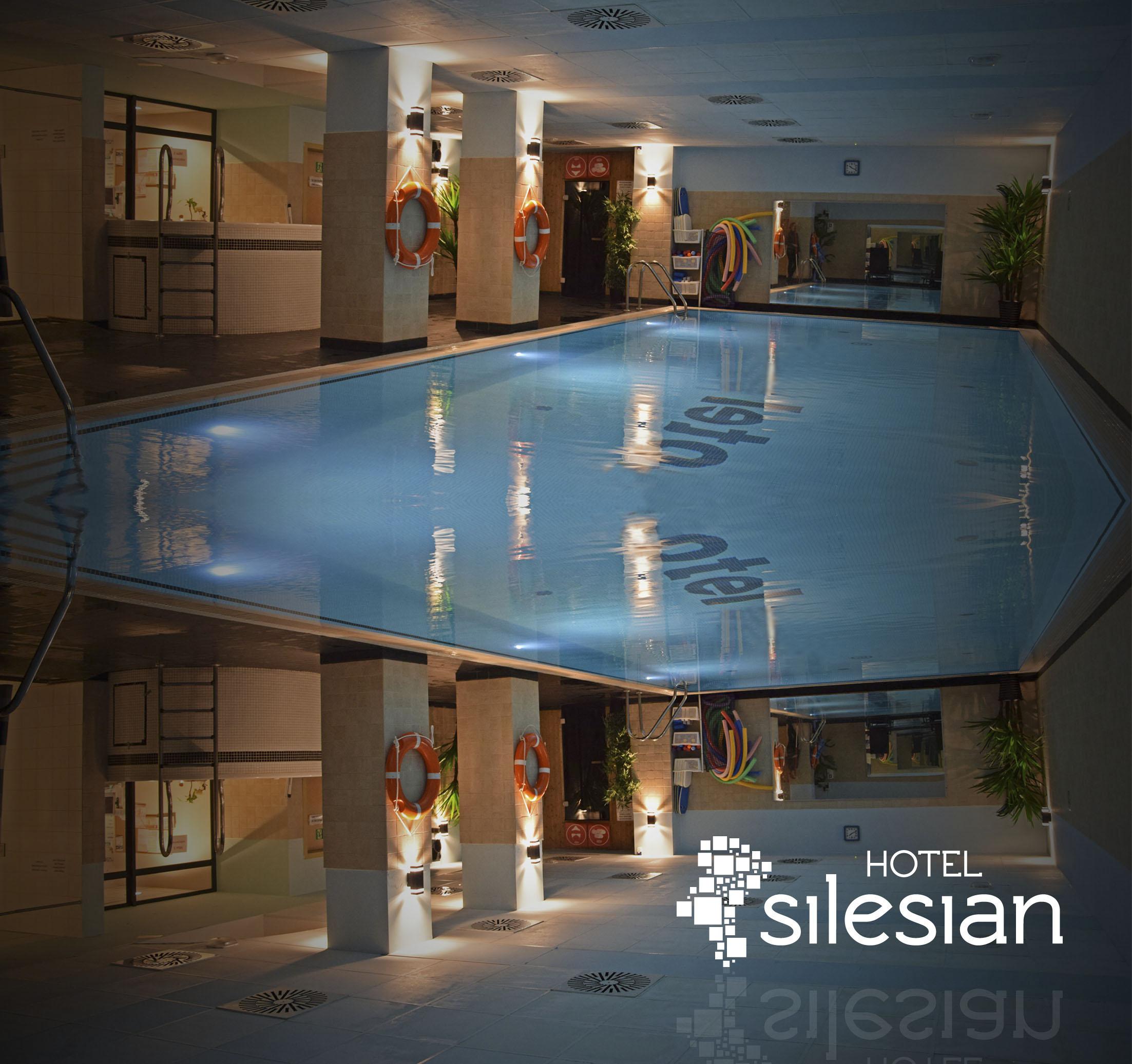 Economy Silesian